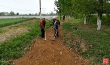 岐山今春栽植苗木256萬株，助力生態(tài)建設(shè)與產(chǎn)業(yè)發(fā)展